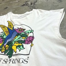 画像4: "DESERT SPRINGS" BIRD FRONT PRINTED N/S TEE / Mens L (4)