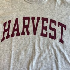 画像9: FRONT "HARVEST" COLOR LOGO PRINTED DESIGN S/S TEE / Ladies M (9)