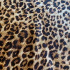 画像7: LEOPARD PATTERN LUSTER DESIGN CAMISOLE / Ladies S(M) (7)